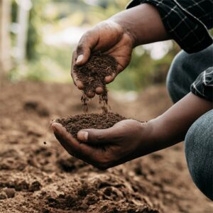 mtlokwa environmental consulting services provides scientifically grounded