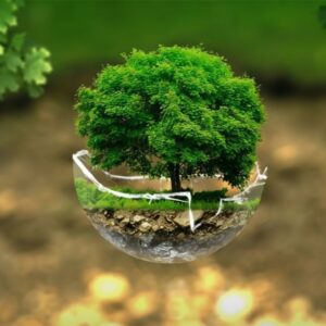 mtlokwa environmental consulting services provides scientifically grounded